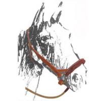 HANDMADE MAREMMANA type HALTER IN LEATHER