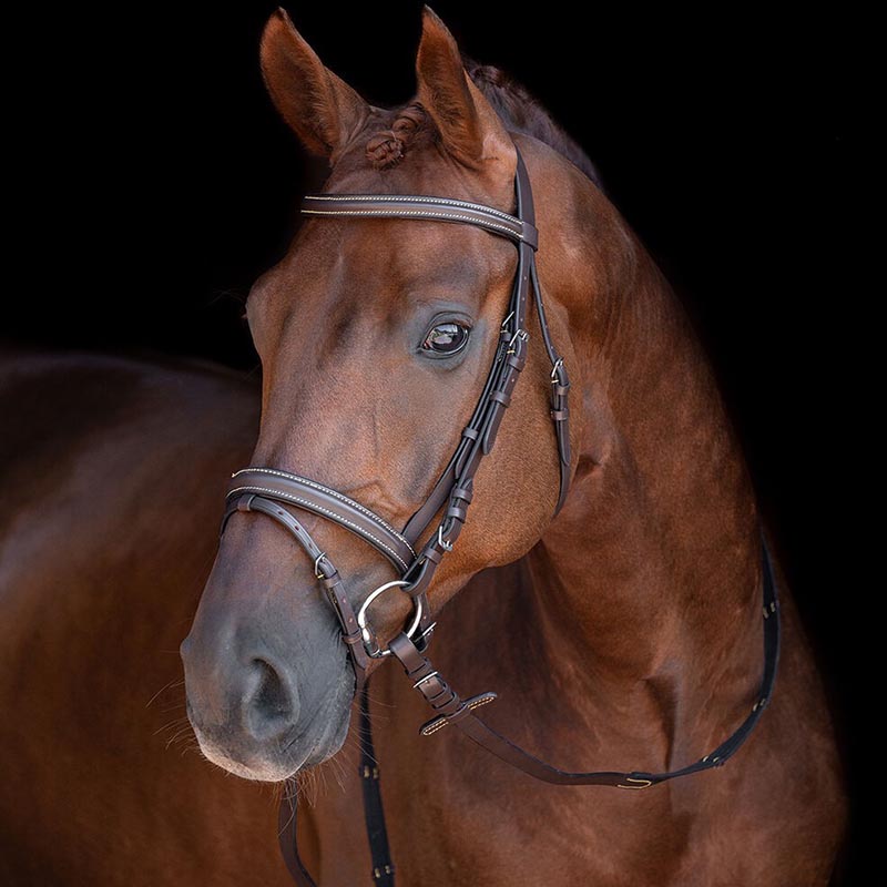 English bridle with decorative seams complete canvas reins - 3792