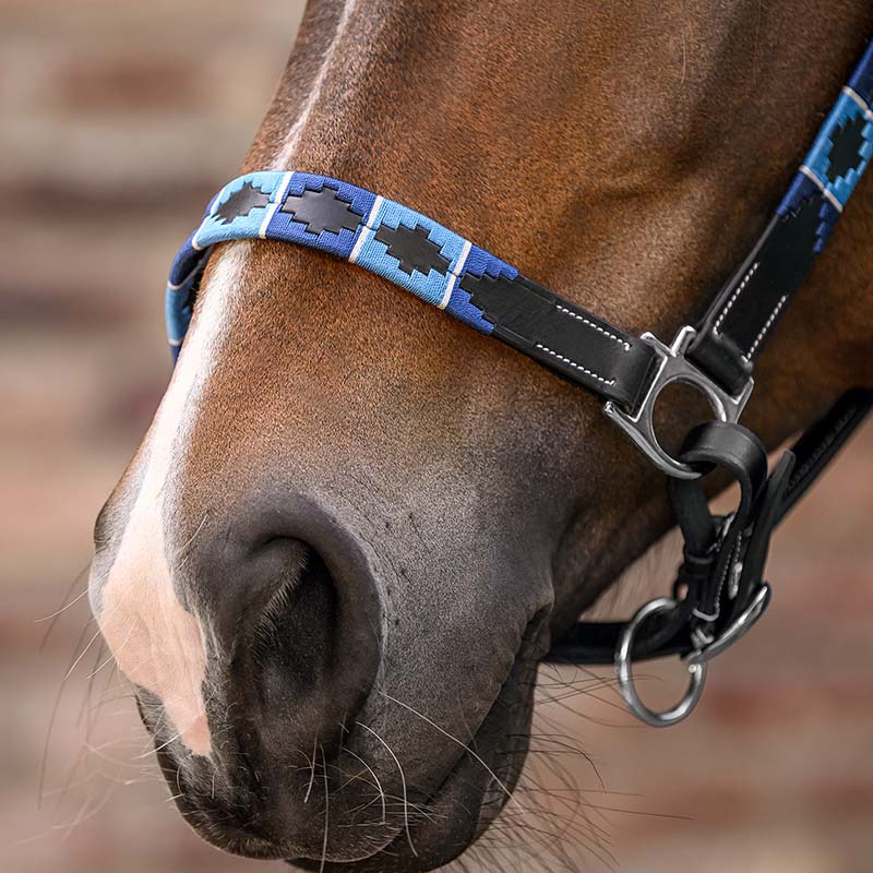 Chukka style halter in leather - 0351