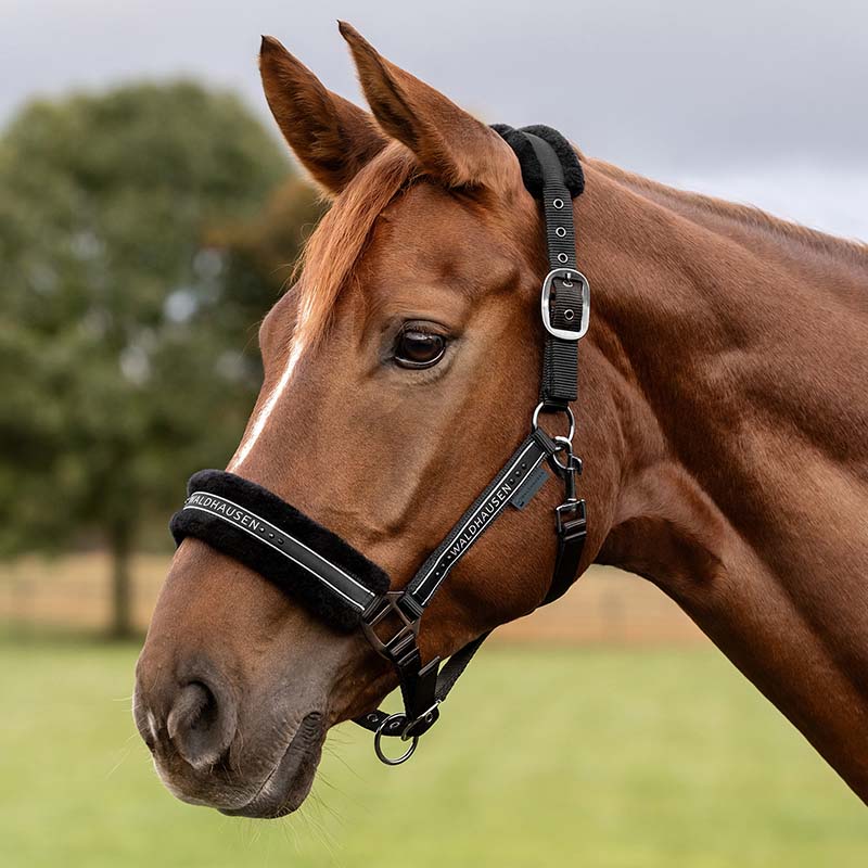 Elegant soft halter with glitter satin buckler - 0348
