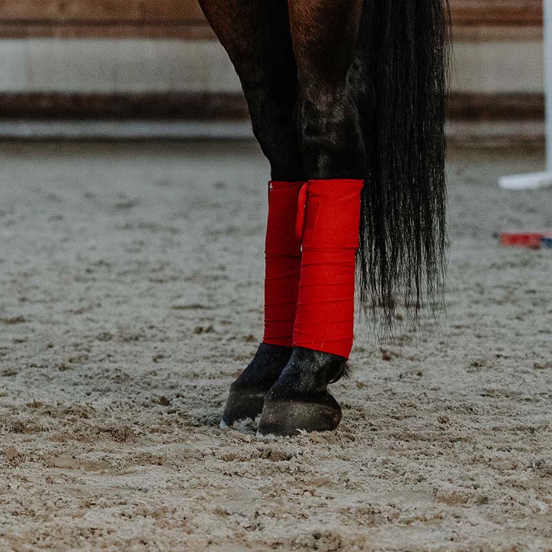 Equitheme Xmas Christmas Polo Bandages for Horses - 9327