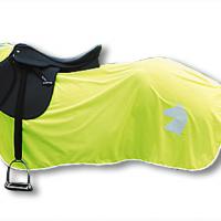 FLUORESCENT SHEET RUG