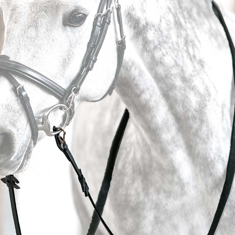 Leather and rubber reins Horsena Kris Pro Work - 2398