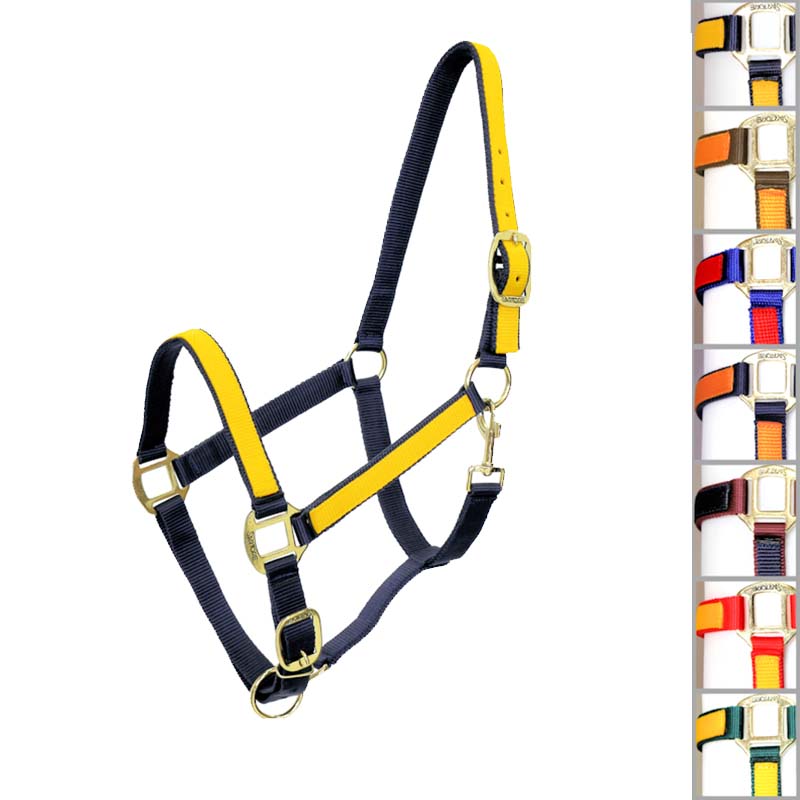 Synthetic Halter with Two-Tone inserts - 0313