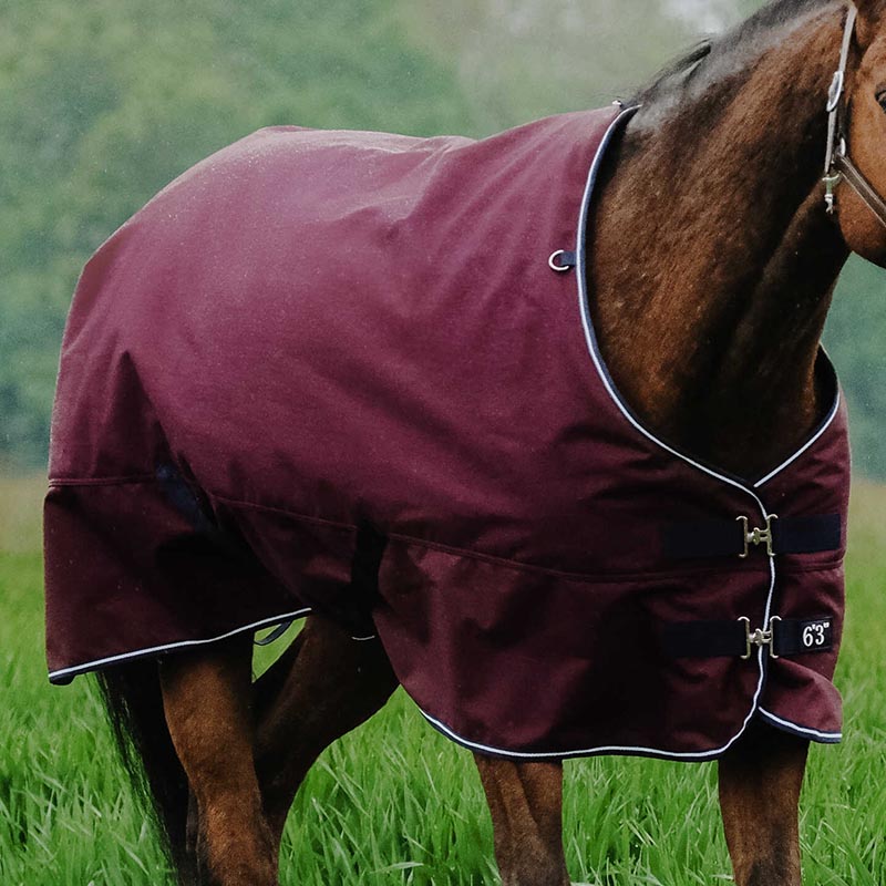 Equi theme tyrex 1200d 300g waterproof turnout rug