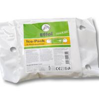 ICE PACK COLD TREATMENT 30 MINUTE