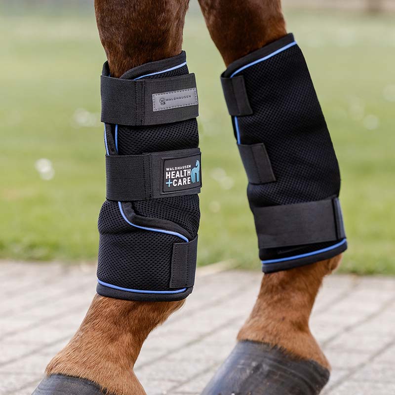 Cooling Leg Wraps Ice Layer for horses Waldhausen Health + Care  - 1870