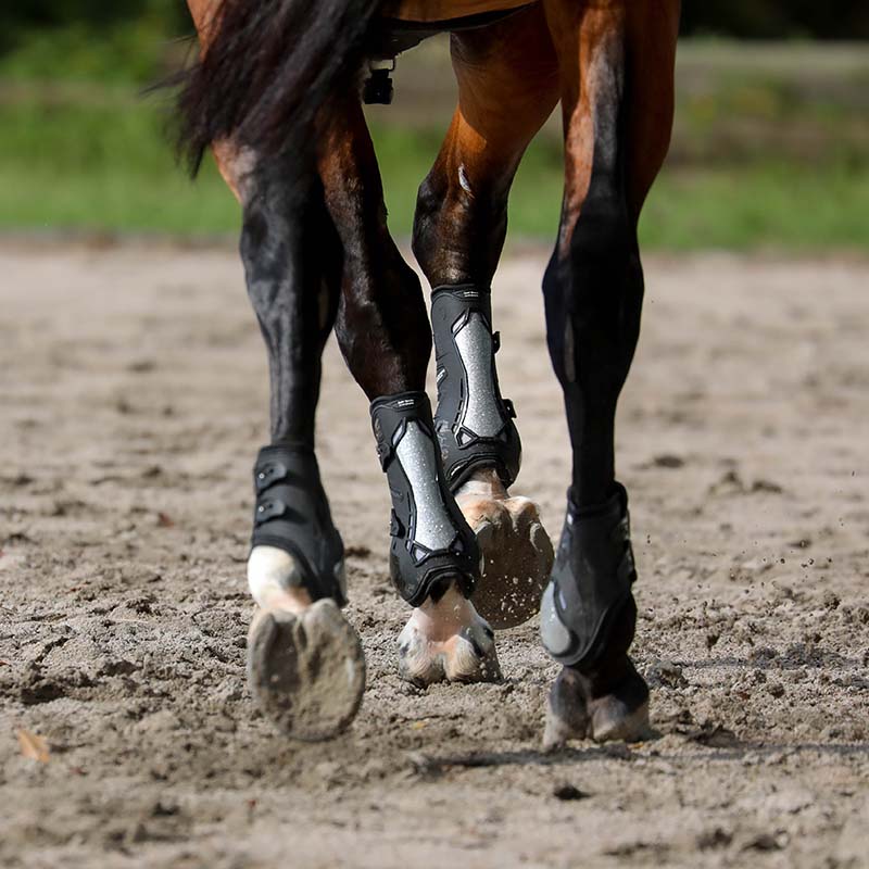 Zandonà Carbon Chic Young Competition fetlock boots - 1747