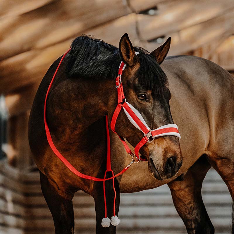 Equitheme Xmas Christmas Halter and Lead Rope Set - 9329