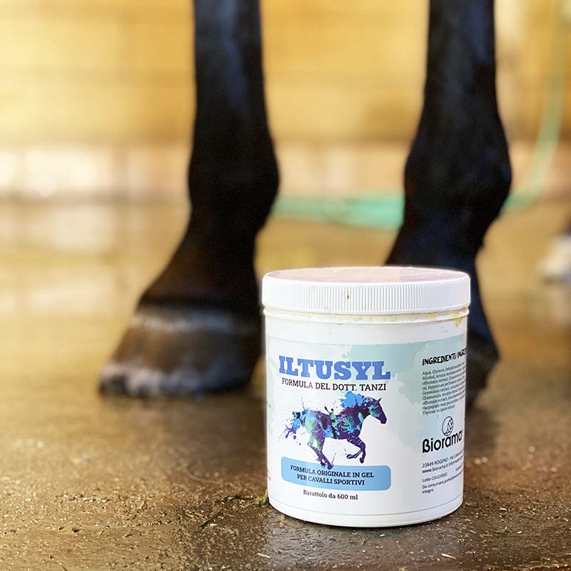 IL TUSYL Doc. Tanzi Biorama 600 gr anti-fatigue gel for horses - 0803