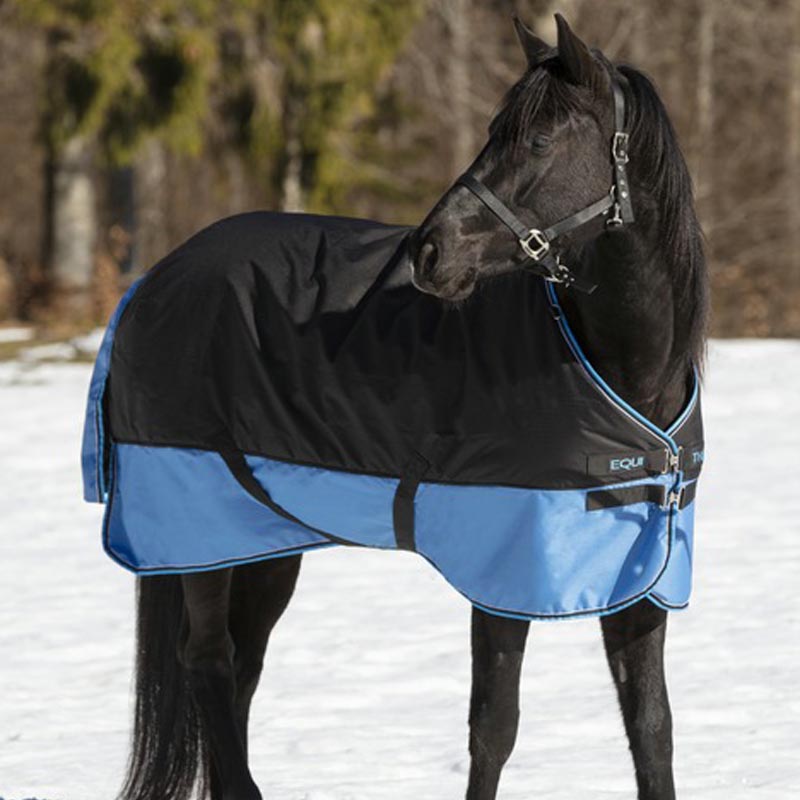 Horse rugs direct