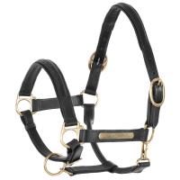 ADJUSTABLE RAWHIDE HALTER