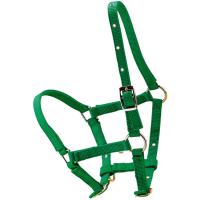 NYLON PONY HALTER