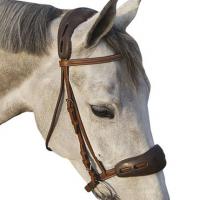 PROTECTION FOR BRIDLE GEL ACAVALLO