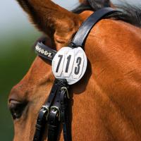 BRIDLE HOLDERS THREE DIGITS PLATE FOR STARTING