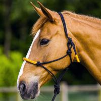 COLOR KNOTS HALTER AND ROPE FOR NATURAL HORSEMANSHIP