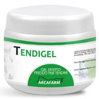 COOLING GEL FOR TENDONS ARCAFARM TENDIGEL”