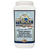 TURVAL 12 HORSE DAILY SPORT - INTESTINAL BIOREGULATOR FOR RACING HORSES