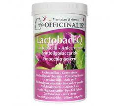 LACTOBAC EQ OFFICINALIS HELPS DIGESTION AND FIGHTS BLOATING - 1006
