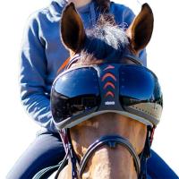  eQUICK eVYSOR DARKER EYE PROTECTION FOR HORSES