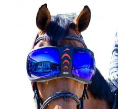 eQUICK eVYSOR MIRRORED EYE PROTECTION FOR HORSES - 1637
