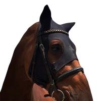 THERAPEUTIC MASK FOR HORSES FENWICK LIQUID TITANIUM MASK