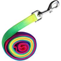 RAINBOW NYLON LEAD ROPE