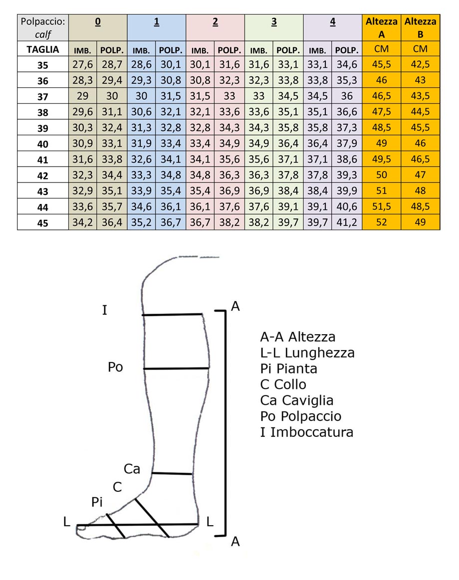 Animo Size Chart