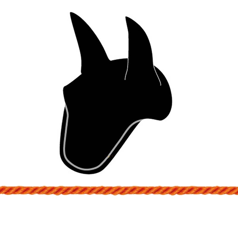 Customization equiline ear net with cord