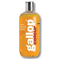 SHAMPOO HORSE GALLOP CHESTNUT & PALOMINO CARR & DAY & MARTIN