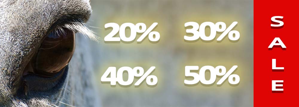 Sales have started: Discounts up to -50%