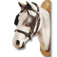 HEADSTALL GOLD FOR HARNESS CARRIAGE