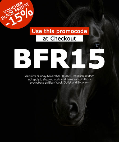 Get 15% off EVERYTHING in Black Friday: use this coupon