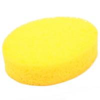 SMALL OVAL SPONGE