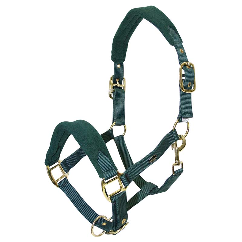 Nylon halter with fleece padding