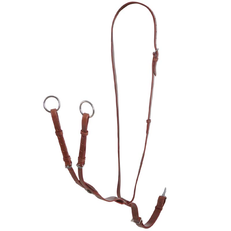 Equestro collier martingale model Melissa in leather - 2612