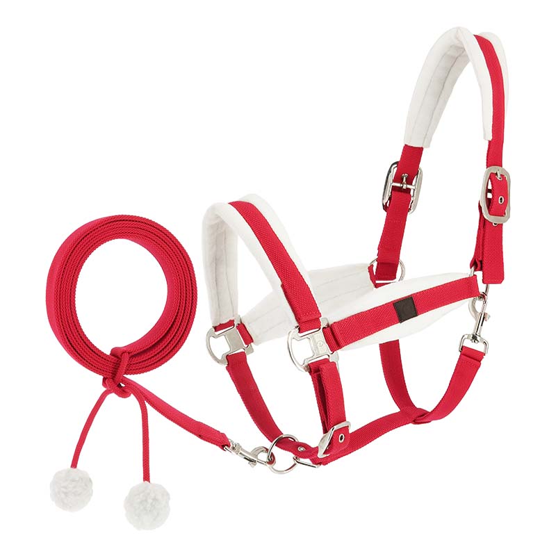 Equitheme Xmas Christmas Halter and Lead Rope Set - 9329