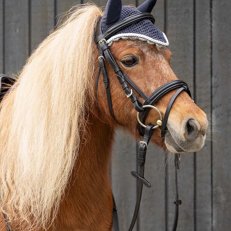 Saddle set pony 13'' for children - 8166