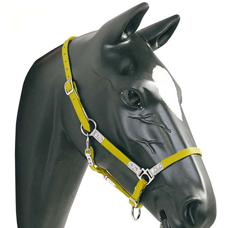 Halter in heavy duty Biothane Pioneer