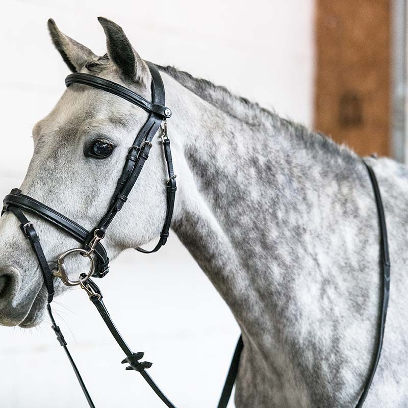 Leather and rubber reins Horsena Kris Pro Work - 2398